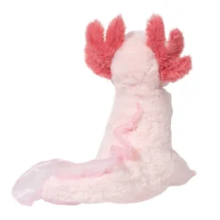 Sale Luisa Axolotl Wildlife