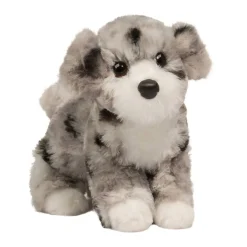 Best Miles Aussie Doodle Dogs
