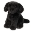 Online Mini Black Lab Dogs