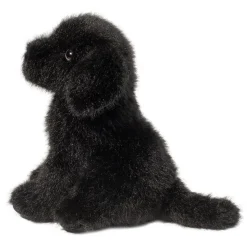 Online Mini Black Lab Dogs