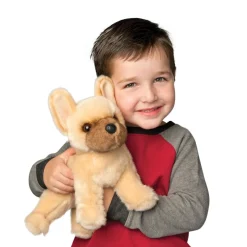 Best Napoleon French Bulldog Dogs