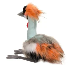 Hot Nia African Crowned Crane Wildlife