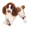 Best Ogilvy Springer Spaniel Dogs
