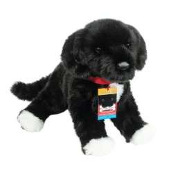 New Olive Black Lab / Pit Bull Mix Rescue Pup Dogs
