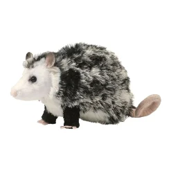 Best Oliver Possum Wildlife