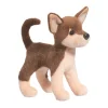 Fashion Pepito Chocolate Chihuahua Dogs