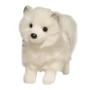 New Phoebe Pomsky Dogs