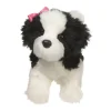 Discount Poofy Black & White Shih-Tzu Dogs
