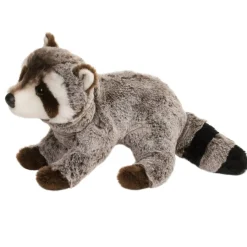 Best Ringo Raccoon Wildlife