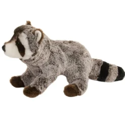 Best Ringo Raccoon Wildlife