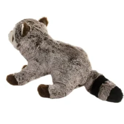Best Ringo Raccoon Wildlife