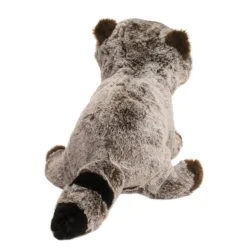 Best Ringo Raccoon Wildlife