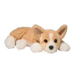 Best Rudy Corgi Dogs