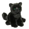 Best Salem Black Cat Cats
