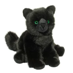 Best Salem Black Cat Cats