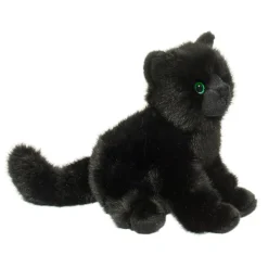 Best Salem Black Cat Cats