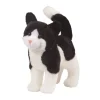 Discount Scooter Black & White Cat Cats