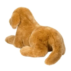 Best Sherman Golden Retriever, Medium Dogs