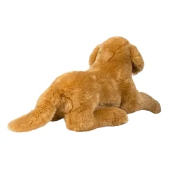 Best Sherman Golden Retriever, Medium Dogs