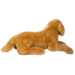 Best Sherman Golden Retriever, Medium Dogs