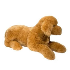 Best Sherman Golden Retriever, Medium Dogs