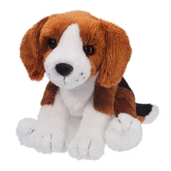 Online Sniff Beagle Dogs