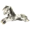 Outlet Starsky Appaloosa Horse Farm