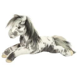 Outlet Starsky Appaloosa Horse Farm