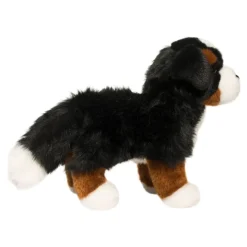 Best Stevie Bernese Mountain Dog Dogs