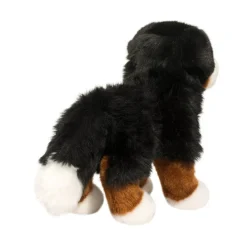 Best Stevie Bernese Mountain Dog Dogs