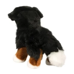 Best Stevie Bernese Mountain Dog Dogs