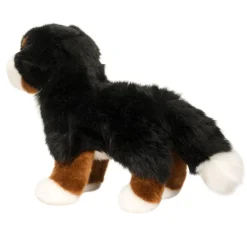 Best Stevie Bernese Mountain Dog Dogs