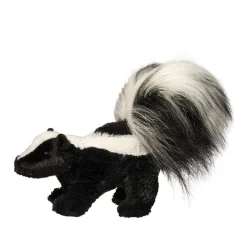 Hot Striper Skunk Wildlife