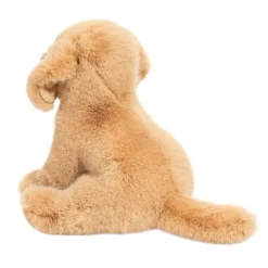 Best Super Goldie Soft Golden Retriever Dogs