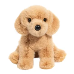 Best Super Goldie Soft Golden Retriever Dogs