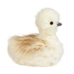 Best Tara Silkie Chick, Large Farm