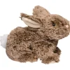 Best Taylor Mocha Bunny Wildlife