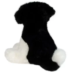Outlet Teefer Shih Tzu Dogs