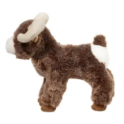 Best Teton Bighorn Sheep Wildlife