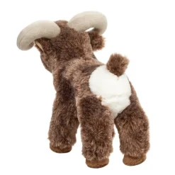 Best Teton Bighorn Sheep Wildlife