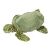 New Tillie Sea Turtle Sea Life