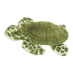 Outlet Toti Sea Turtle Sea Life