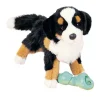 Online Trevor Bernese Mountain Dog Dogs