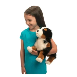 Online Trevor Bernese Mountain Dog Dogs