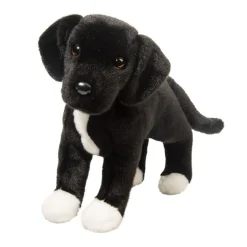 Hot Twister Black Lab/Pit Bull Mix Dogs