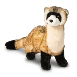 Best Vince Black Footed Ferret Wildlife