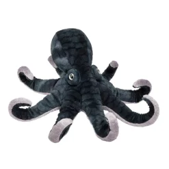 Sale Winky Octopus Sea Life
