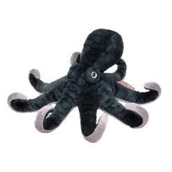 Sale Winky Octopus Sea Life