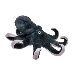 Sale Winky Octopus Sea Life