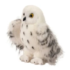 Discount Wizard Snowy Owl Wildlife